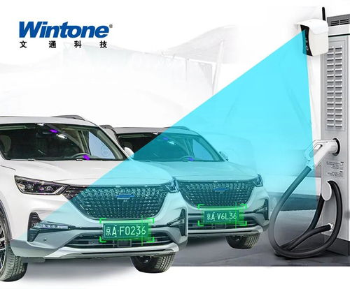 車衛(wèi)通 智能巡檢系統(tǒng)如何助力解決新能源汽車充電樁占位難題？